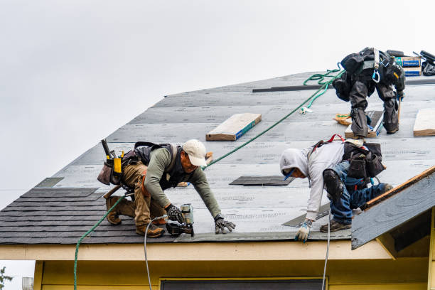 Professional Gutter Installation technician working in Whitakers, NC